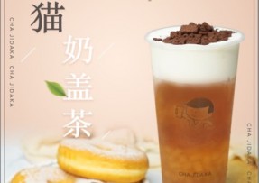 企鹅直播：熊猫奶盖茶