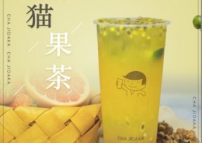 企鹅直播：熊猫果茶