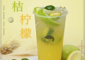 企鹅直播：金桔柠檬